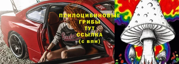 Альфа ПВП Алексин